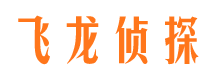 滨海新区婚外情调查